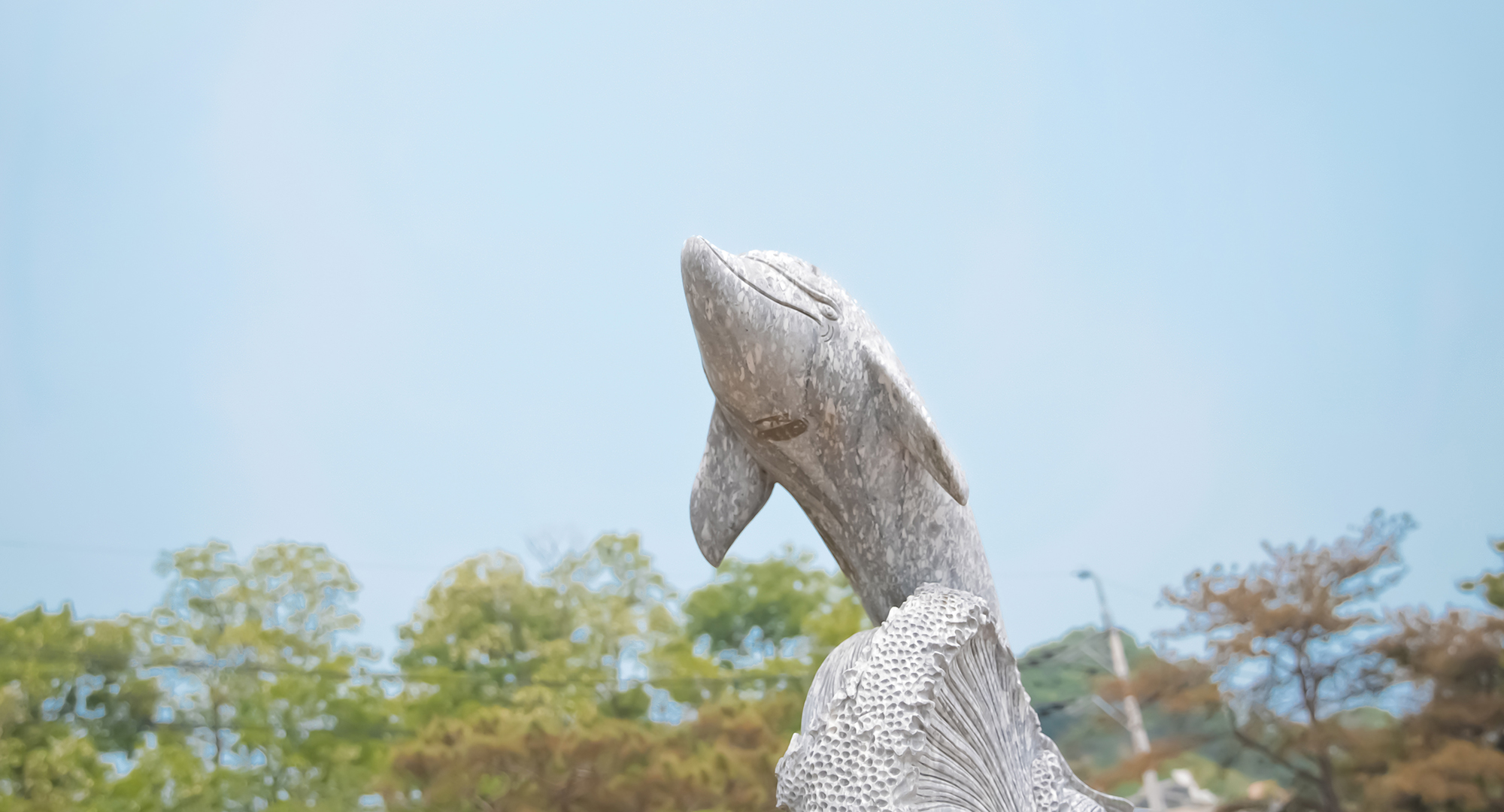 리오56 메인이미지07