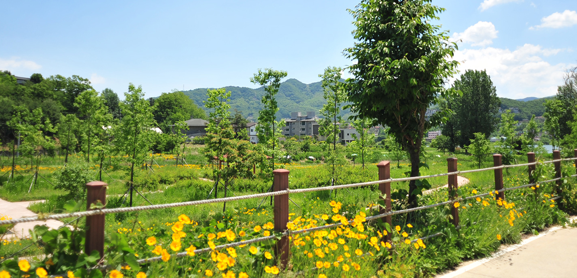 강변산책로
